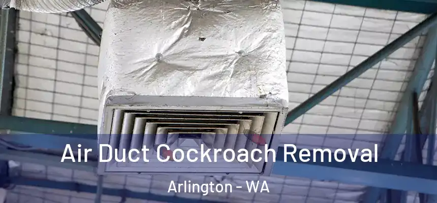  Air Duct Cockroach Removal Arlington - WA