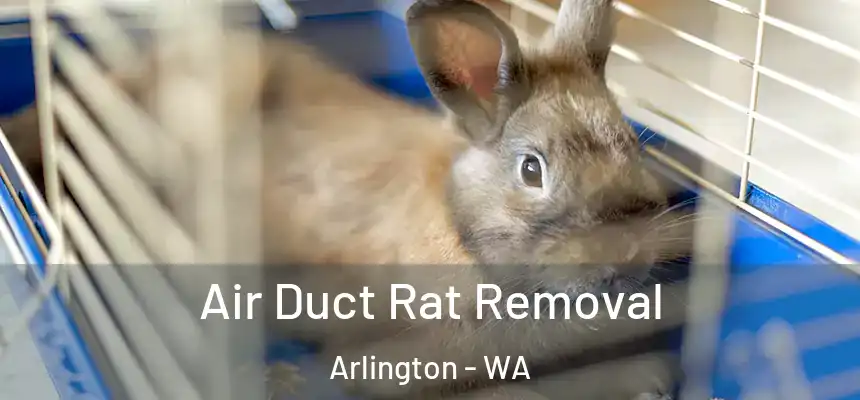  Air Duct Rat Removal Arlington - WA