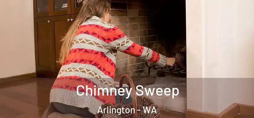  Chimney Sweep Arlington - WA