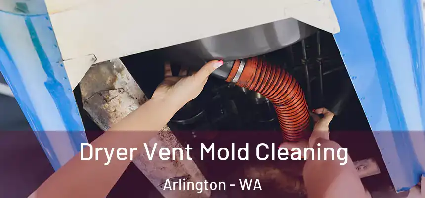  Dryer Vent Mold Cleaning Arlington - WA