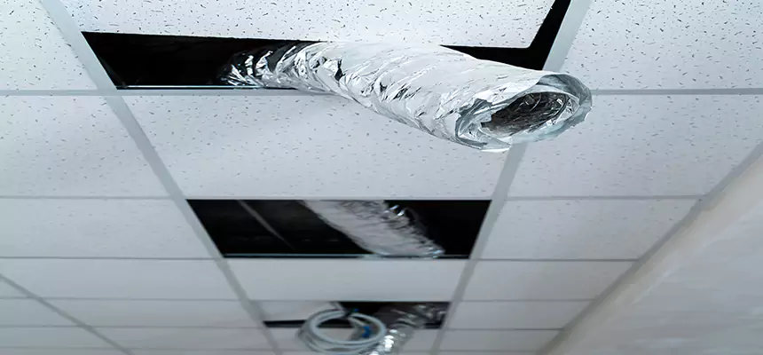 Affordable HVAC Sanitizing After Pest Removal in Arlington