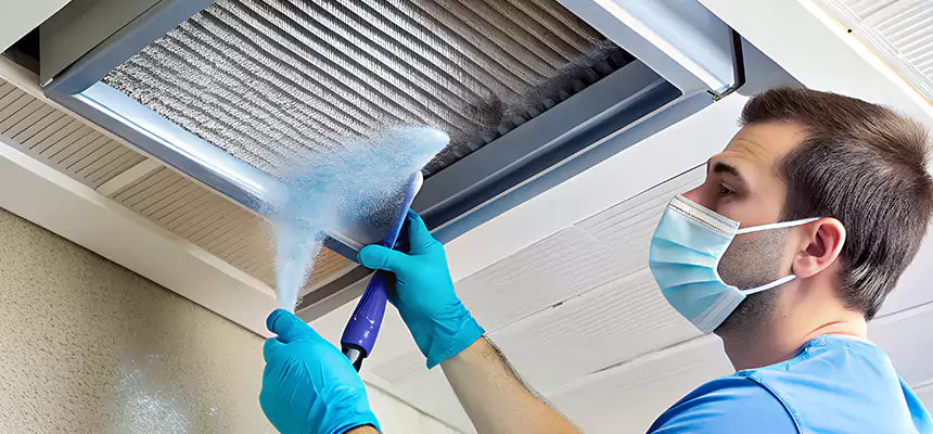 Proactive Dryer Vent & Auxiliary Duct Pollen Cleanup in Arlington, WA