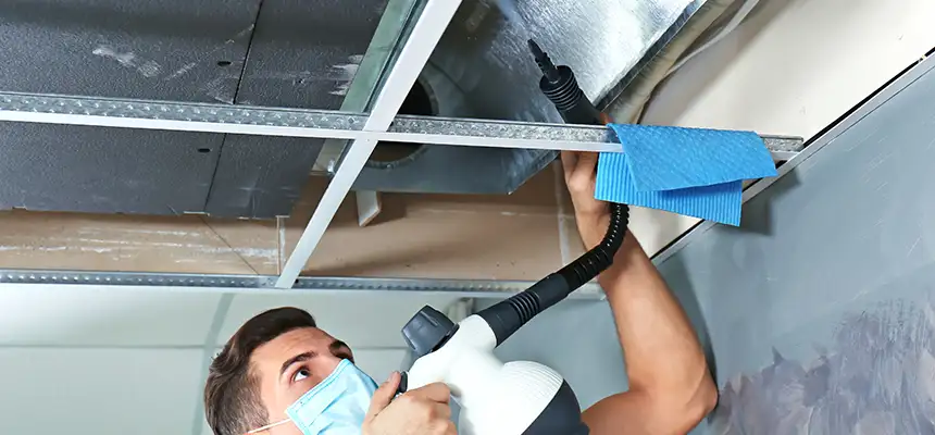 Our Air Duct Rodent Removal Services in Arlington, WA