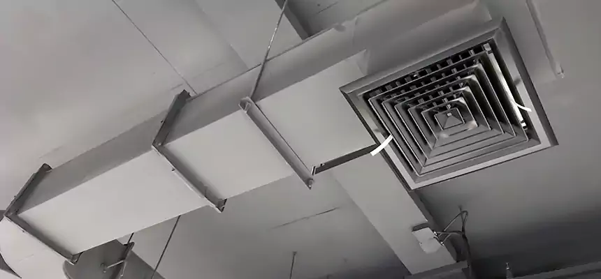 Restorative Allergy Relief Vent Cleaning – Coil, Blower & Housing Detail in Arlington