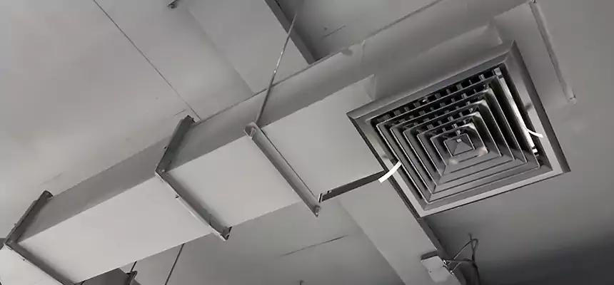 Our Rodent Droppings In Vents Services in Arlington, WA