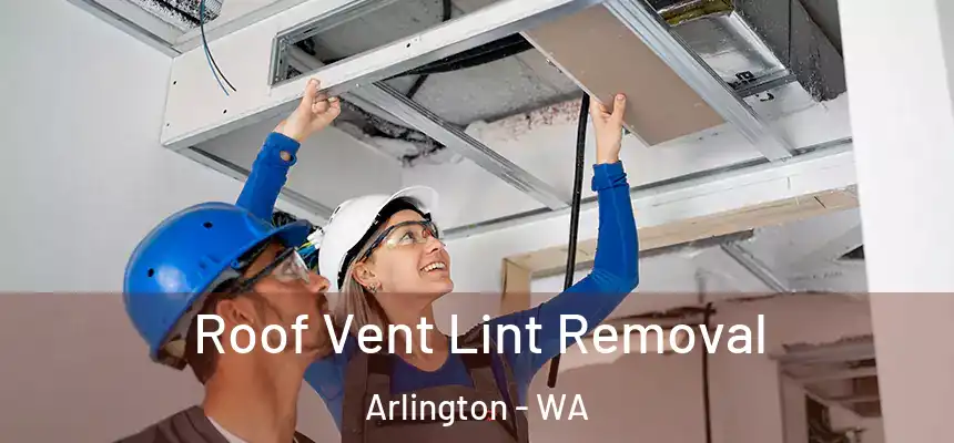  Roof Vent Lint Removal Arlington - WA