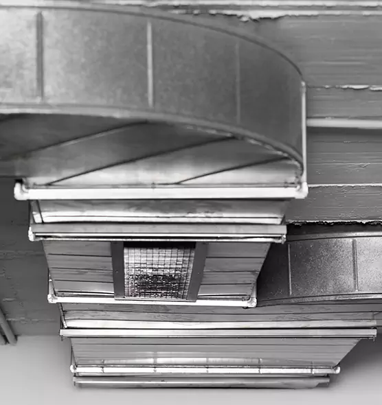 Professional Air Duct Pest Removal in Arlington, WA