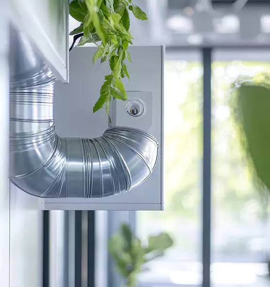 Professional Eco-Friendly Duct Cleaning Services in Arlington, WA