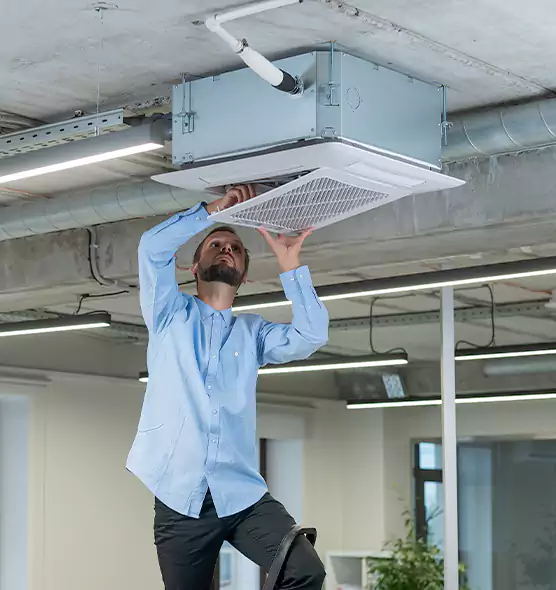 Advanced Rodent Droppings In Vents in Arlington, WA