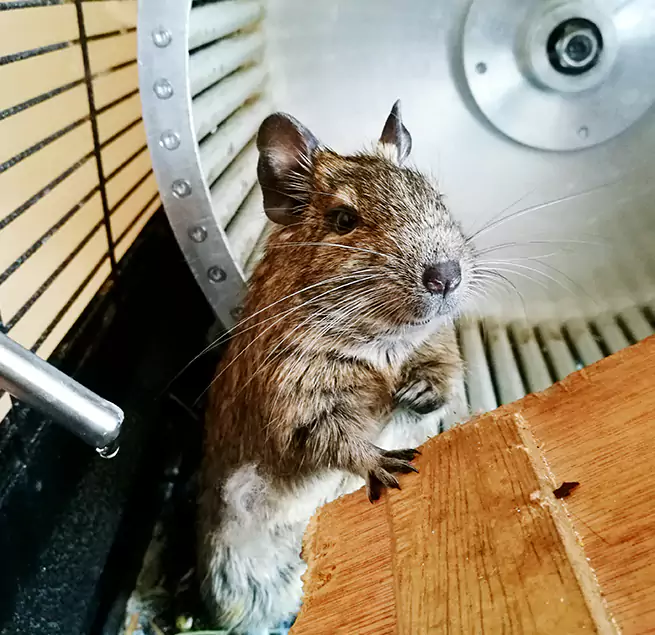 Why Homeowners & Businesses Trust Us Arlington, WA?